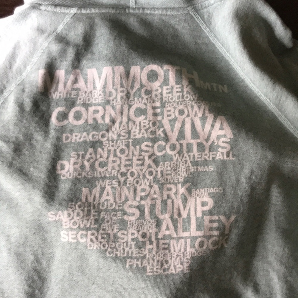 James Perse Mammoth Hoody